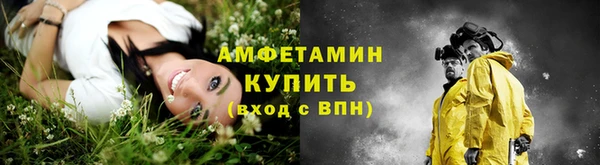 сатива Нязепетровск